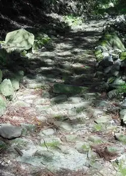 石畳の道