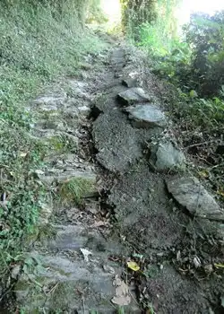 石畳の坂