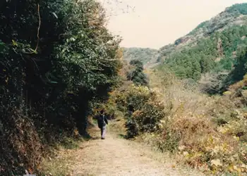 鹿ヶ瀬峠の道