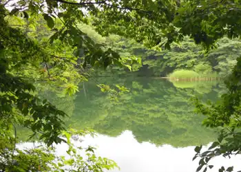 八景の池