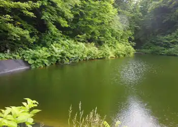 羽響の池