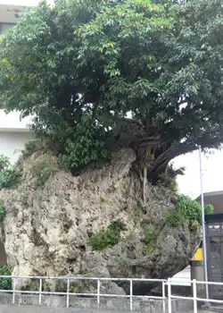 仲島の大石