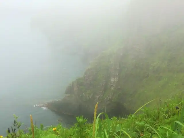 霧の岬