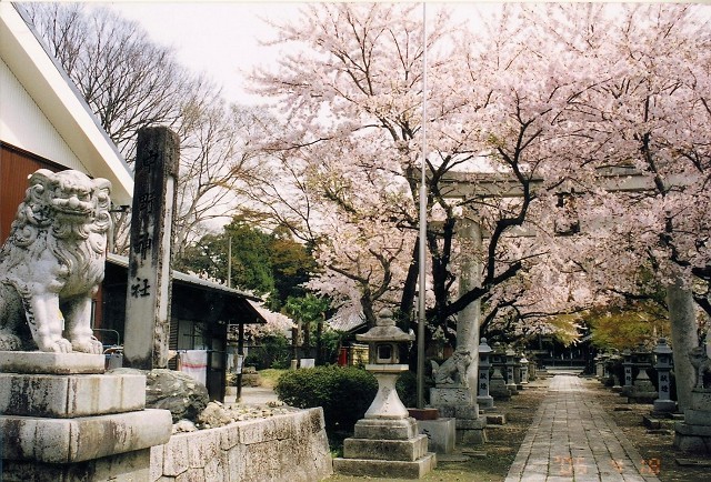 	中野神社	