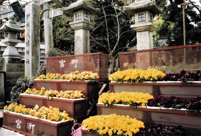 	八幡神社	
