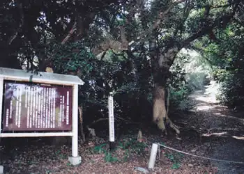 権現崎公園