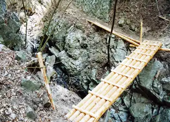 木の橋