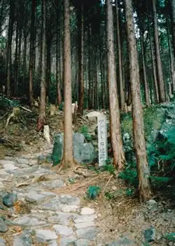 ツヅラト石道