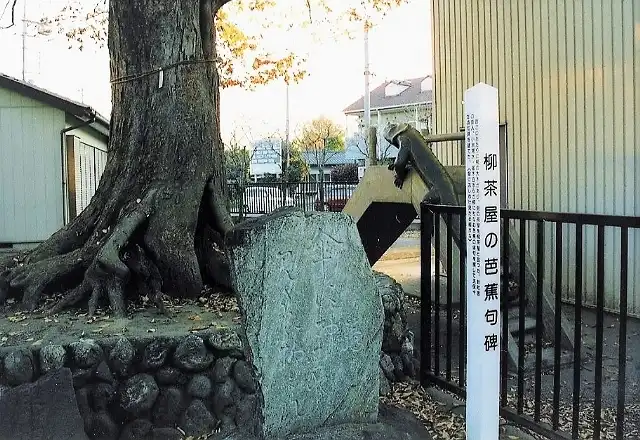 八坂神社の句碑