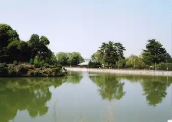 コナベ池