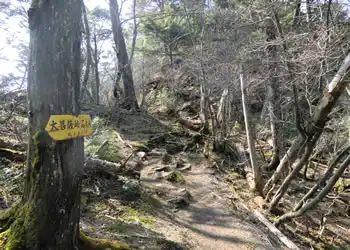 石丸峠への登り