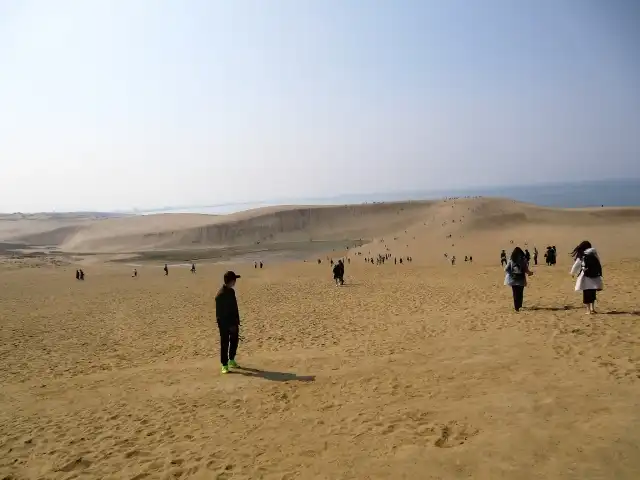 広がる砂丘