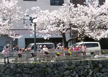 桜と園児