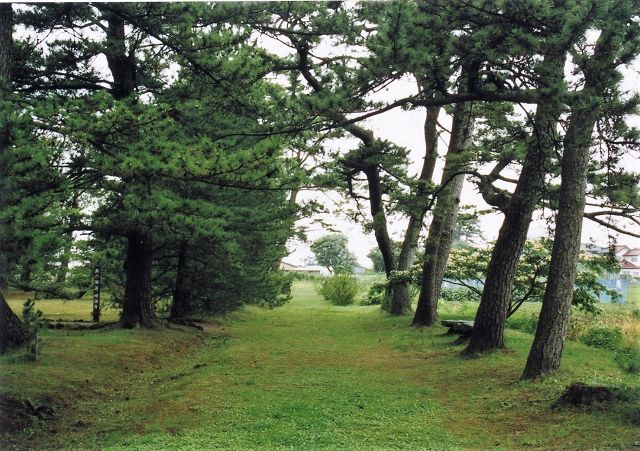 蚶満寺の旧参道松並木