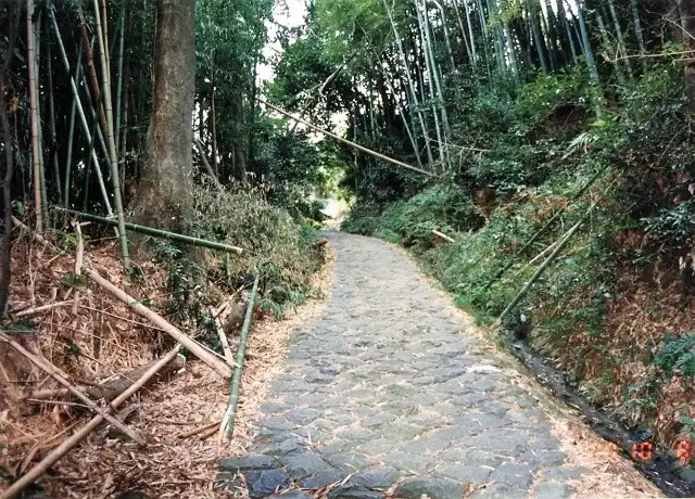 竹藪の小径